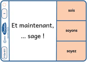 Conjuguer être et avoir à l'impératif présent