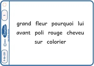 Identifier les adjectifs qualificatifs
