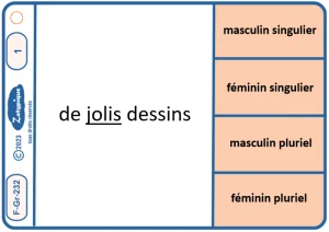 Caractériser les adjectifs qualificatifs par leur genre et leur nombre