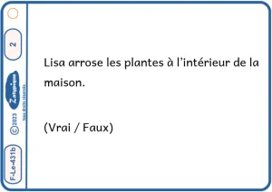 Répondre à des questions explicites sur un texte de 5 lignes vrai faux 2