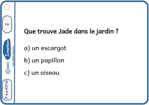Répondre à des questions explicites sur un texte de 5 lignes QCM 2