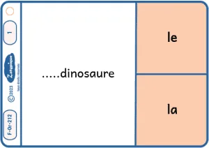 Savoir si on dit le ou la avant le nom