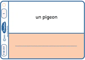 Écrire le pluriel régulier d’un nom