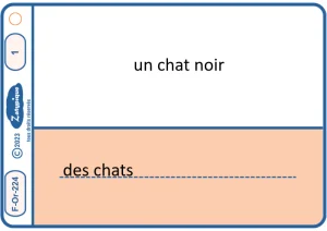 Écrire le pluriel d'un adjectif simple