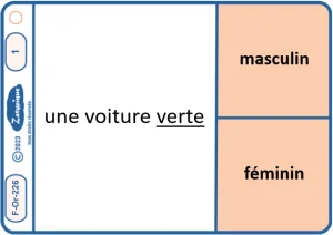 Donner le genre d’un adjectif