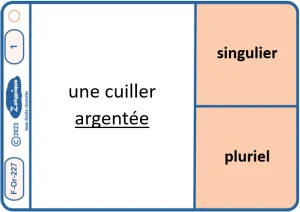Donner le nombre d’un adjectif