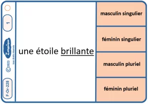 Donner le genre et le nombre d’un adjectif