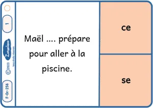 Distinguer ce et se