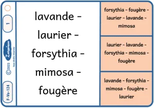 Classer n’importe quels mots