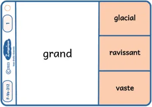 Connaître les adjectifs synonymes les plus courants