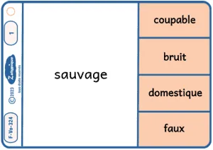 Connaître davantage d’antonymes