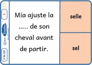 Distinguer les homonymes selon leur sens