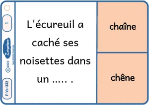 Distinguer les homonymes selon leur sens 2