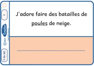 Remplacer le paronyme par le mot réel