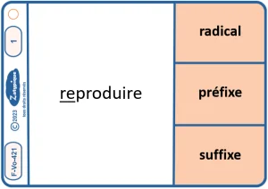 Connaître et utiliser le vocabulaire radical préfixe suffixe