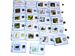 Trouver des détails dans une grande image