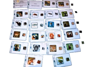 Trouver des détails dans une grande image 2