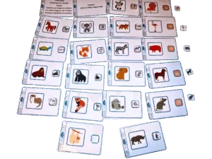 Associer une image en couleurs à la même image en noir et blanc animaux