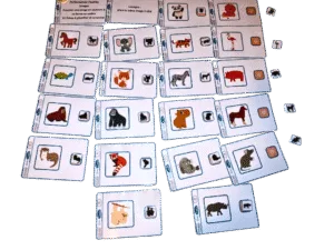 Associer une image en couleurs à sa forme en ombre animaux